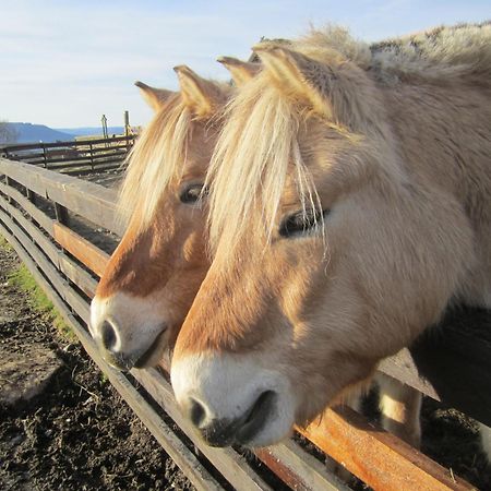 Langedrag Naturpark As Tunhovd Zewnętrze zdjęcie