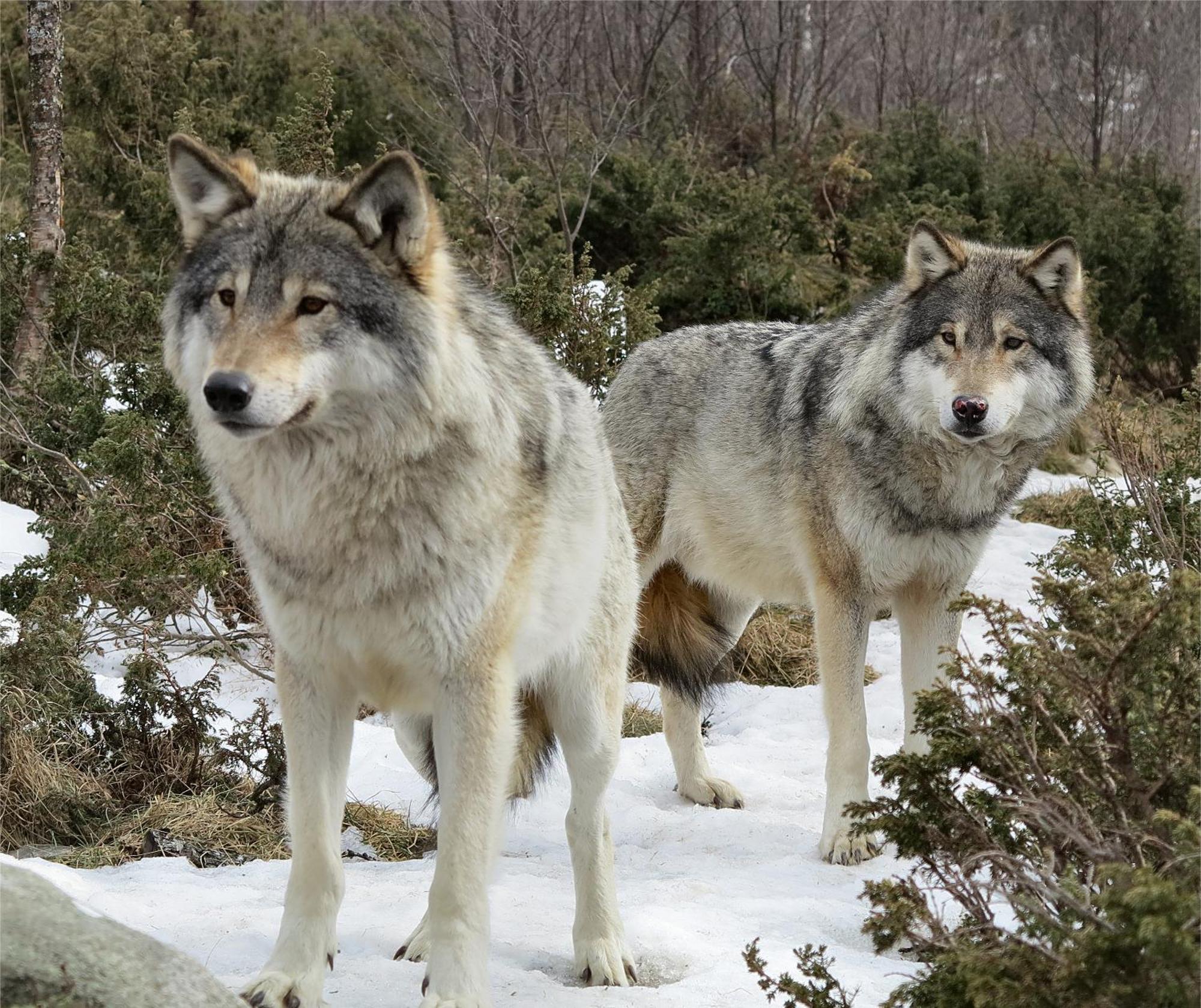 Langedrag Naturpark As Tunhovd Zewnętrze zdjęcie