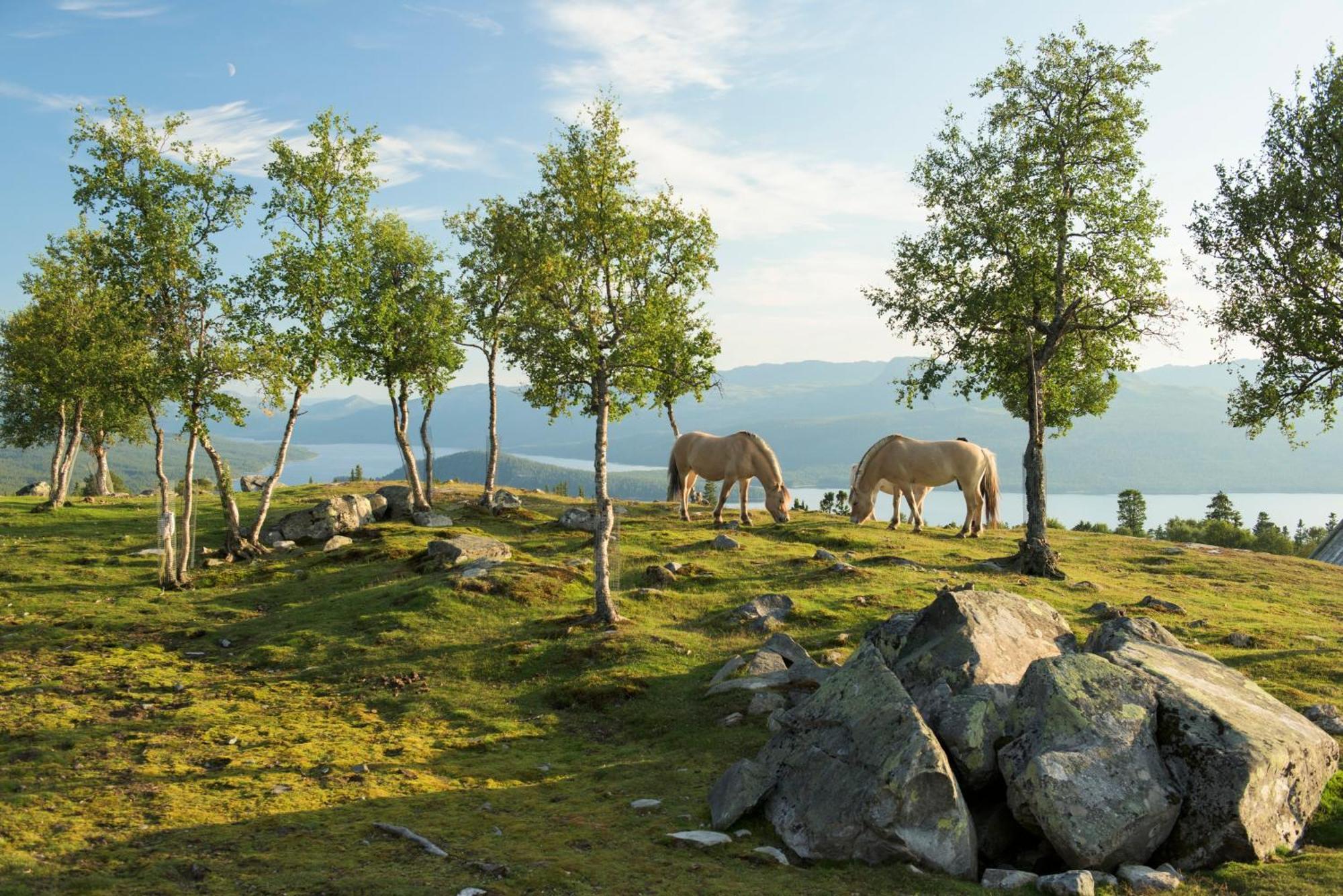 Langedrag Naturpark As Tunhovd Zewnętrze zdjęcie